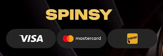 Schnelle Auszahlungen im Online Casino Spinsy